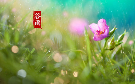 银屑病患者谷雨的饮食